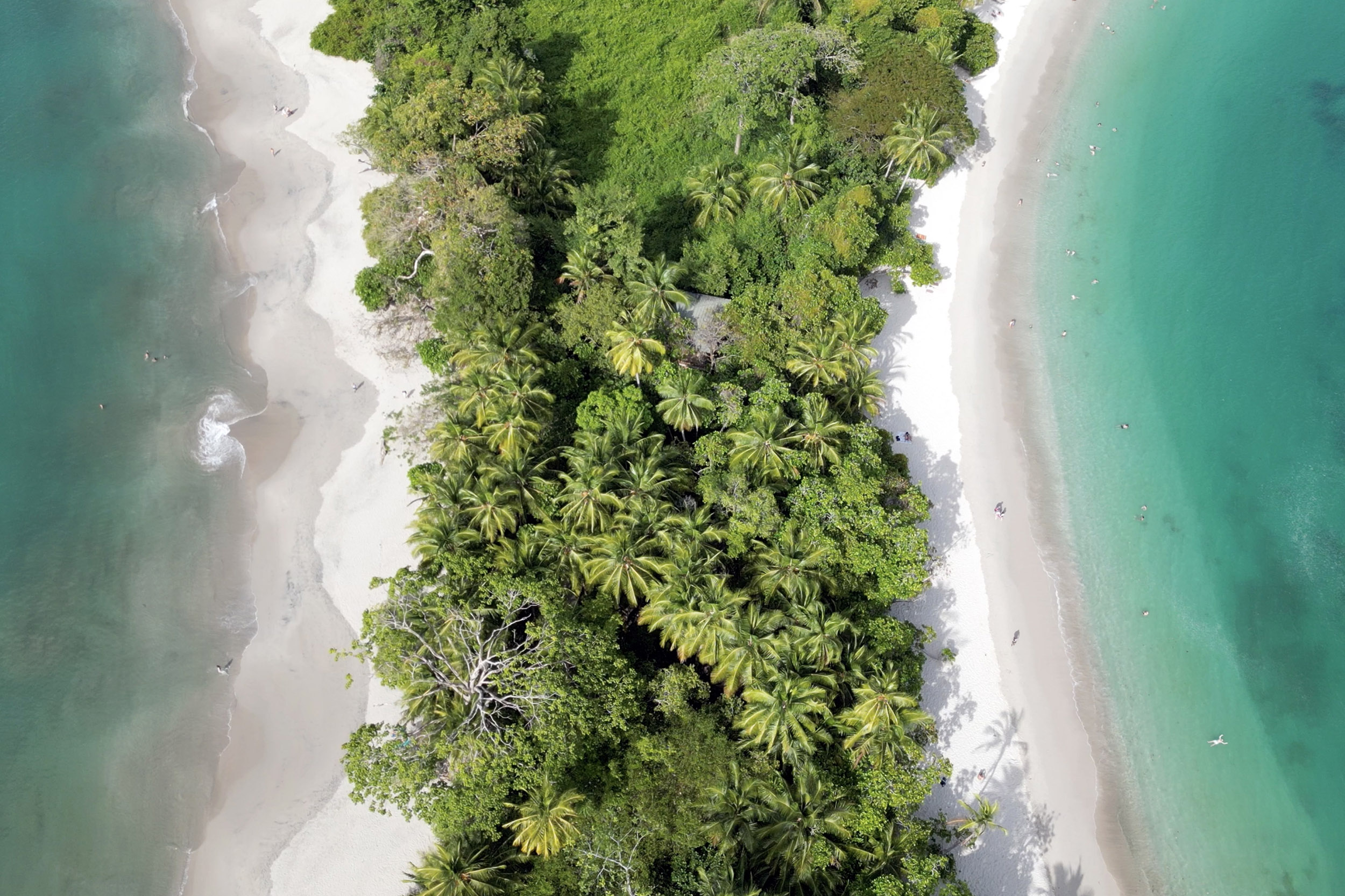 Costa Rica - Février 2025